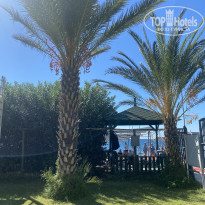 фото из отзыва ID 2735019