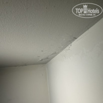 фото из отзыва ID 2735031