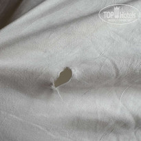 фото из отзыва ID 2735031