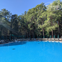 фото из отзыва ID 2735035