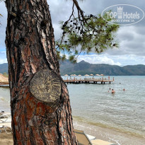 фото из отзыва ID 2735042