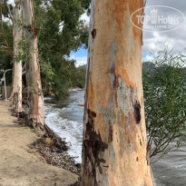 фото из отзыва ID 2735042