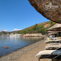 фото из отзыва ID 2735042