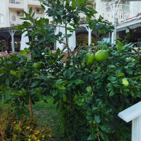 фото из отзыва ID 2735052