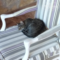 фото из отзыва ID 2735052