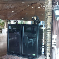 фото из отзыва ID 2735052