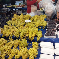 фото из отзыва ID 2735052