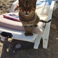 фото из отзыва ID 2735052