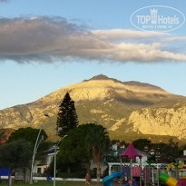 фото из отзыва ID 2735052