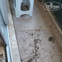 фото из отзыва ID 2734125