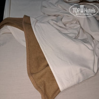 фото из отзыва ID 2735074