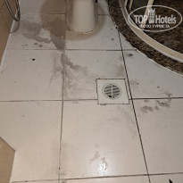 фото из отзыва ID 2735074