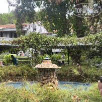 фото из отзыва ID 2735095