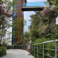 фото из отзыва ID 2735100