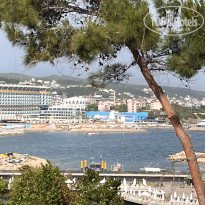 фото из отзыва ID 2735100