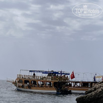 фото из отзыва ID 2735100