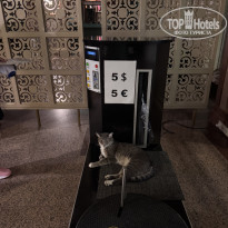 фото из отзыва ID 2735111