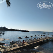 фото из отзыва ID 2735118