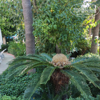 фото из отзыва ID 2735113