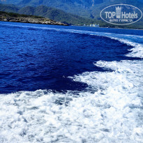 фото из отзыва ID 2735124