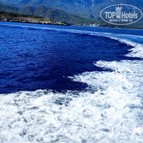 фото из отзыва ID 2735124