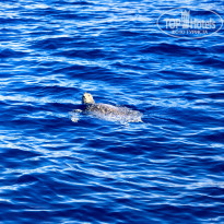 фото из отзыва ID 2735124