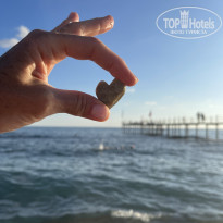 фото из отзыва ID 2735137