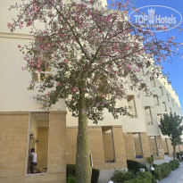 фото из отзыва ID 2735142