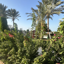 фото из отзыва ID 2735142