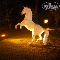 фото из отзыва ID 2734231