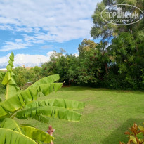 фото из отзыва ID 2734231