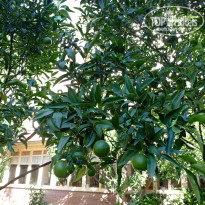 фото из отзыва ID 2734231