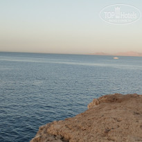 фото из отзыва ID 2735157