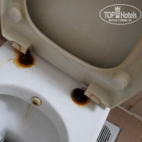 фото из отзыва ID 2734125