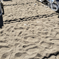 фото из отзыва ID 2734125