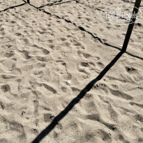 фото из отзыва ID 2734125