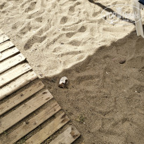 фото из отзыва ID 2734125