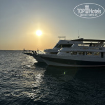 фото из отзыва ID 2735165