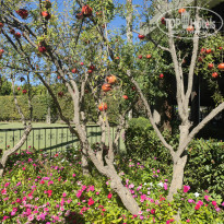 фото из отзыва ID 2735172