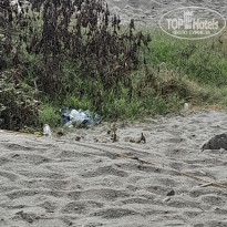 фото из отзыва ID 2735185