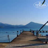 фото из отзыва ID 2735193