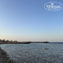 фото из отзыва ID 2735197