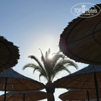 фото из отзыва ID 2733576