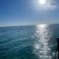 фото из отзыва ID 2735209