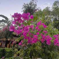 фото из отзыва ID 2735209