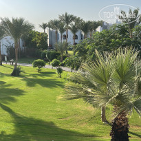 фото из отзыва ID 2735256