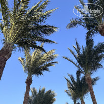 фото из отзыва ID 2735256