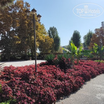 фото из отзыва ID 2735254