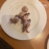 фото из отзыва ID 2735259