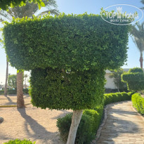 фото из отзыва ID 2735267